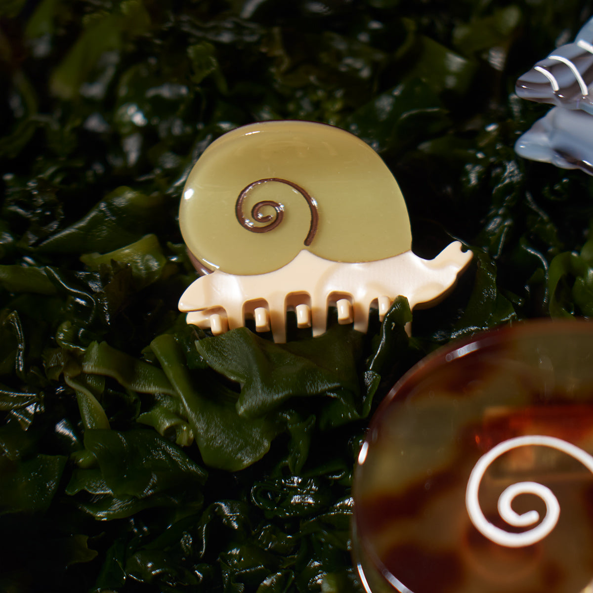 Mini Snail Claw Sand