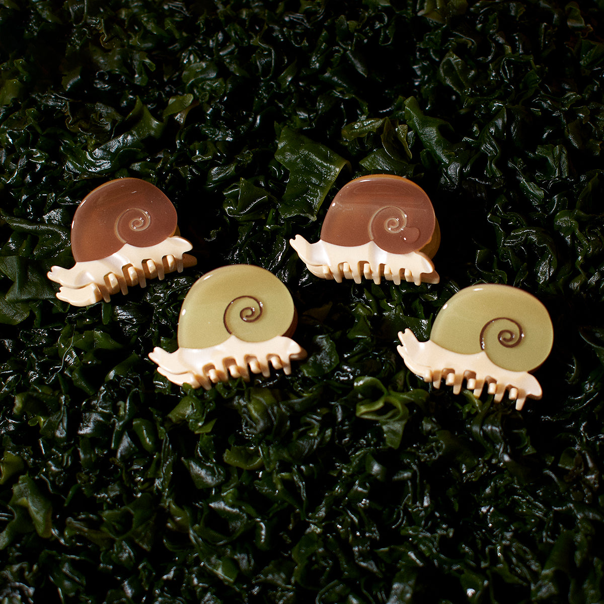 Mini Snail Claw Sand