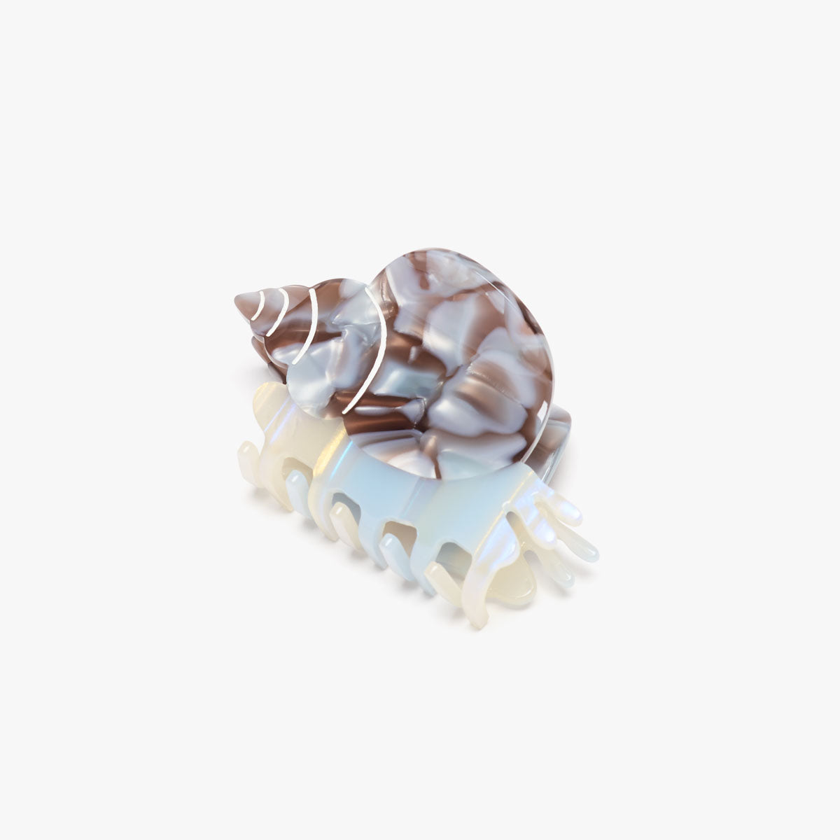 Blue Whelk Claw