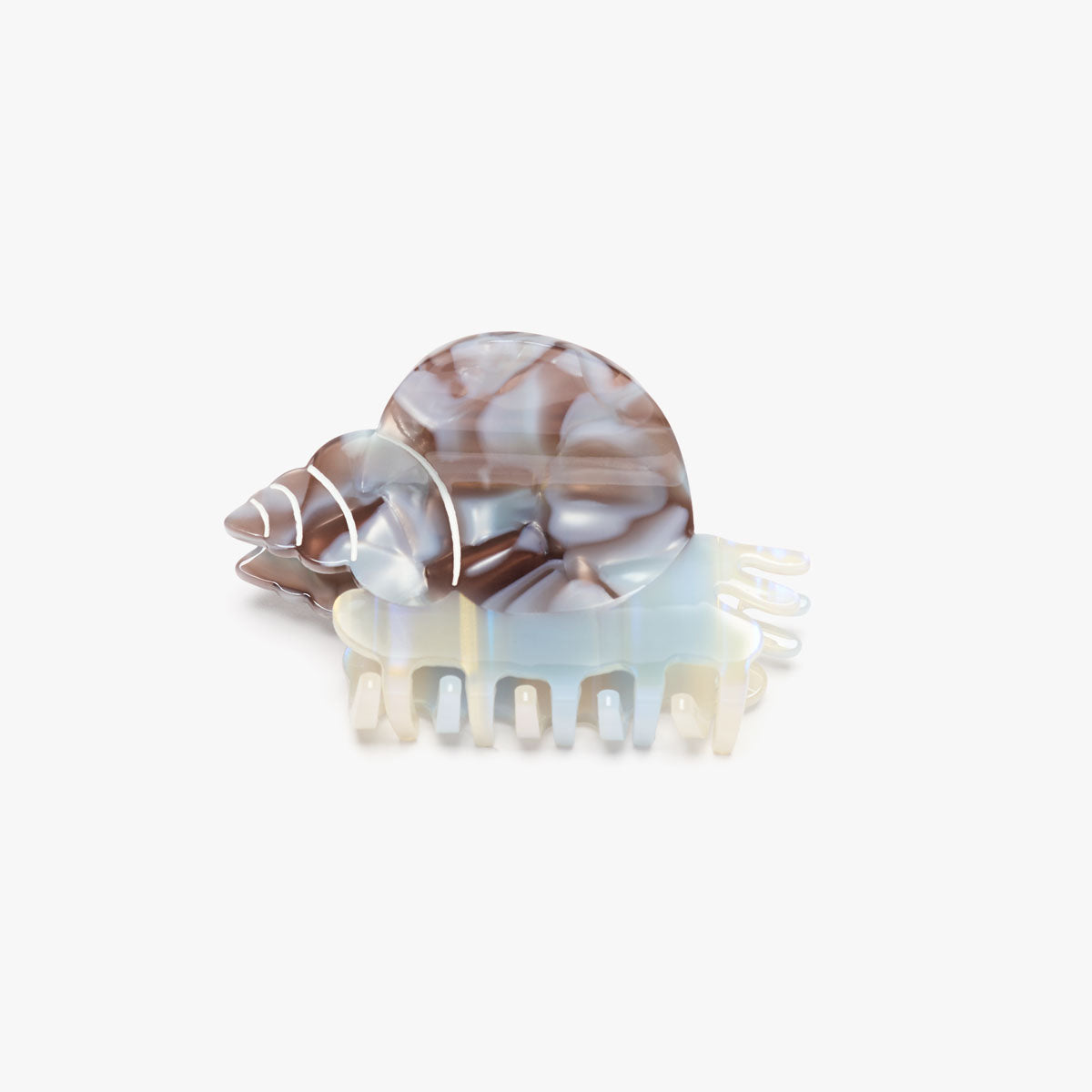 Blue Whelk Claw