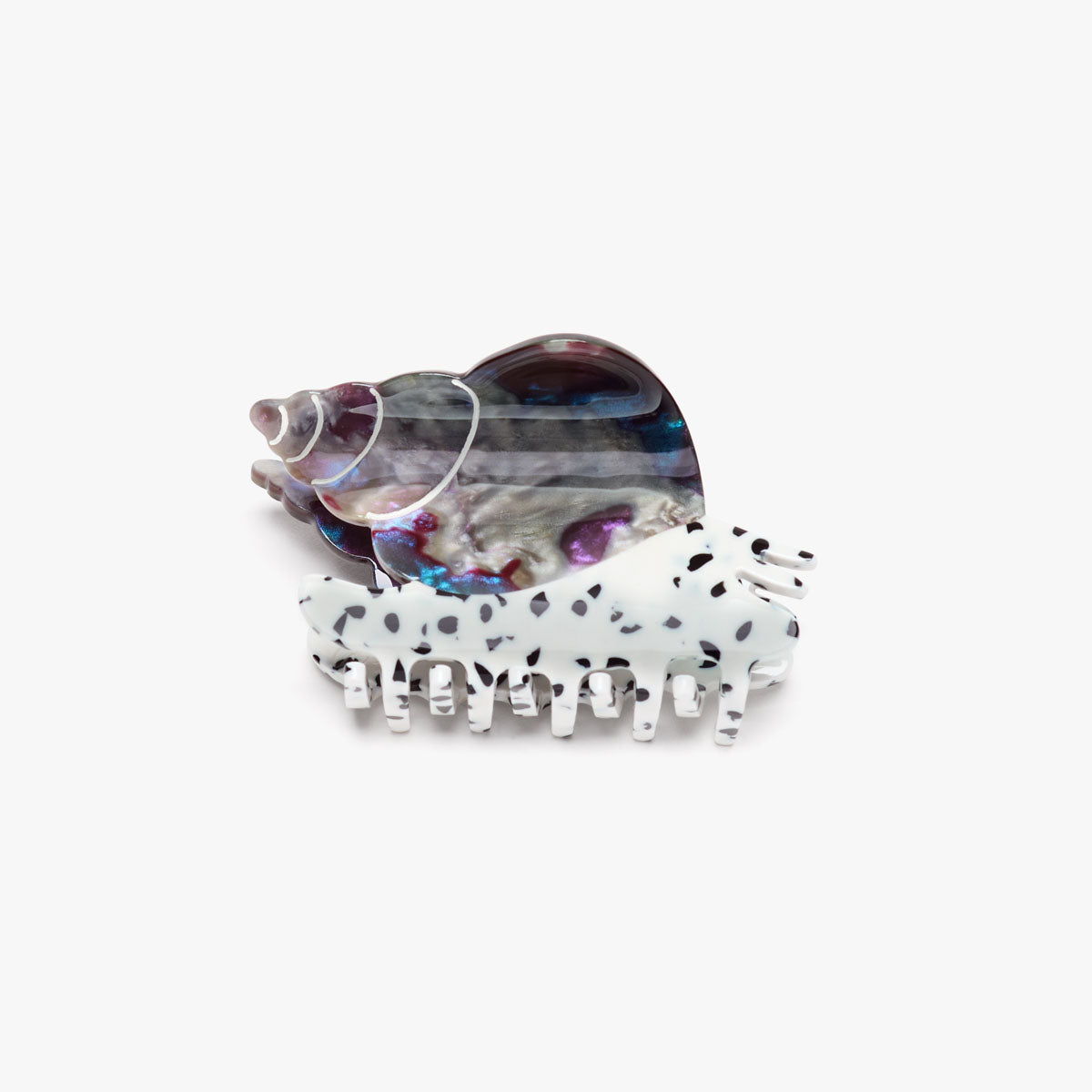 Spotted Whelk Claw