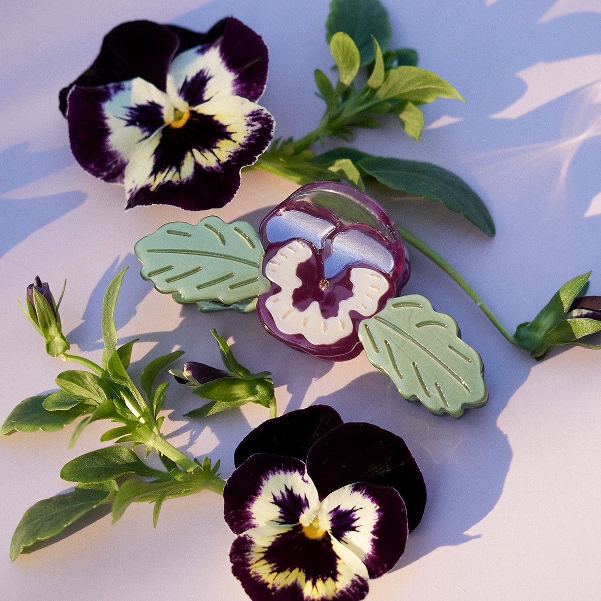 Wild Pansy Mini Claw | Winona Irene