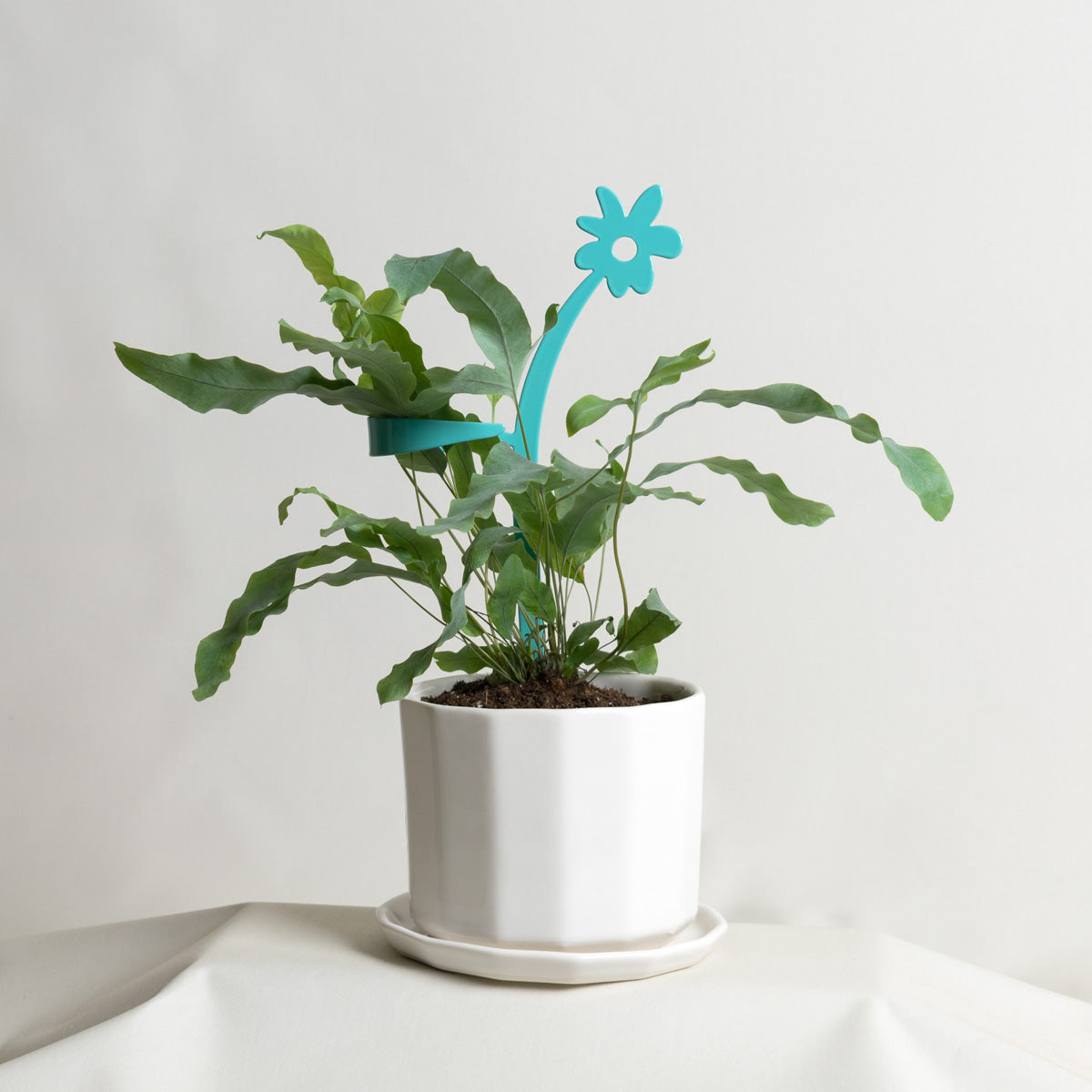 May Flowers Plant Support Stake Turquoise Green