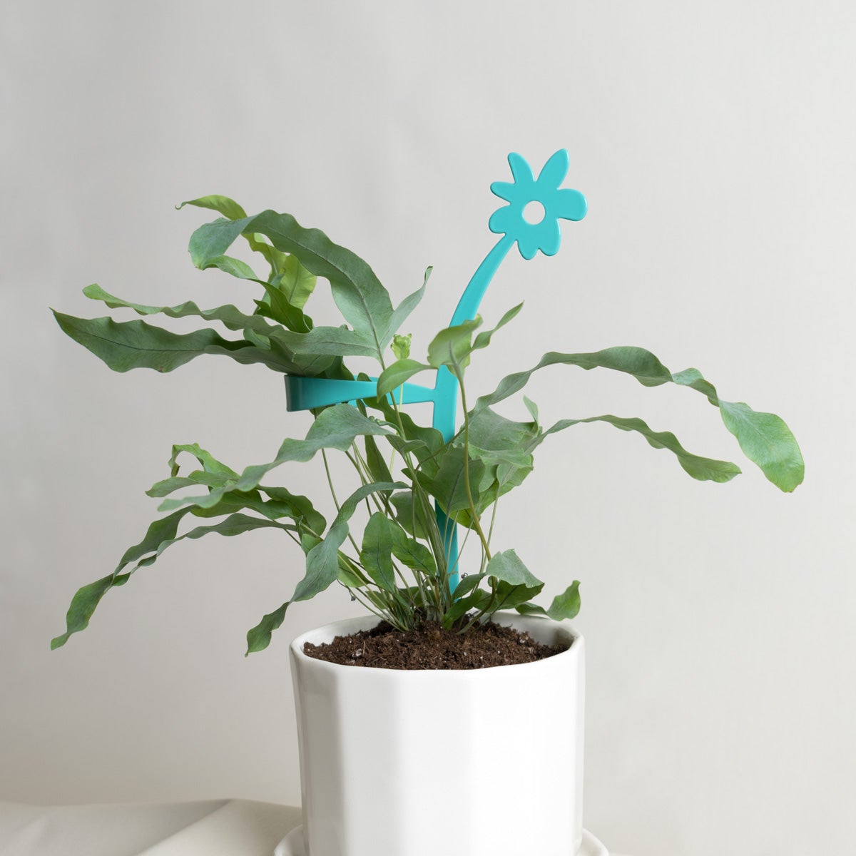 SECONDS SALE! Flowers Plant Support Stake Turquoise Green