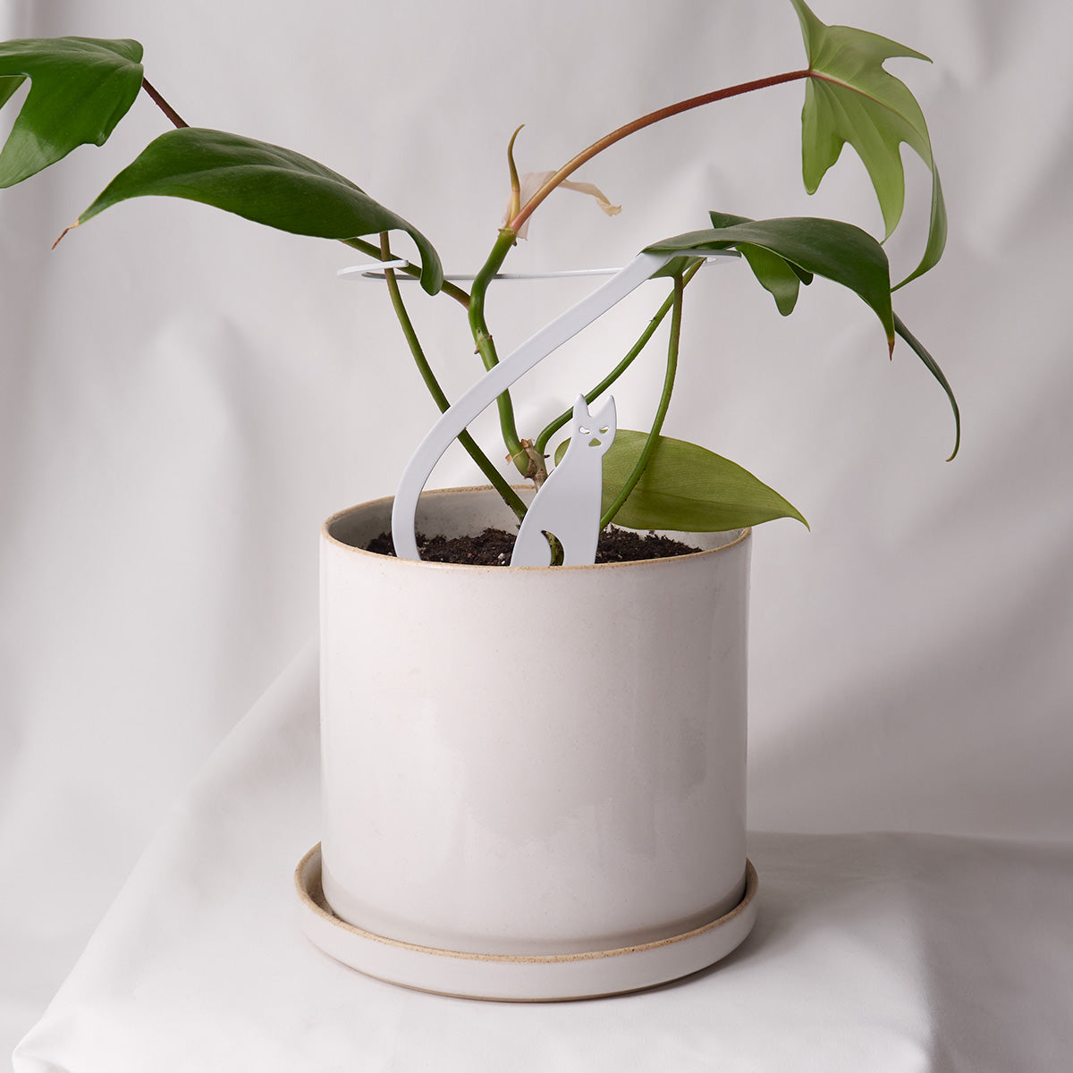 70cm Plant Supports For Indoor Plants, Moss Pole For Monstera Support Sphagnum Moss Sticks For Cheese Plant Bendable Growth