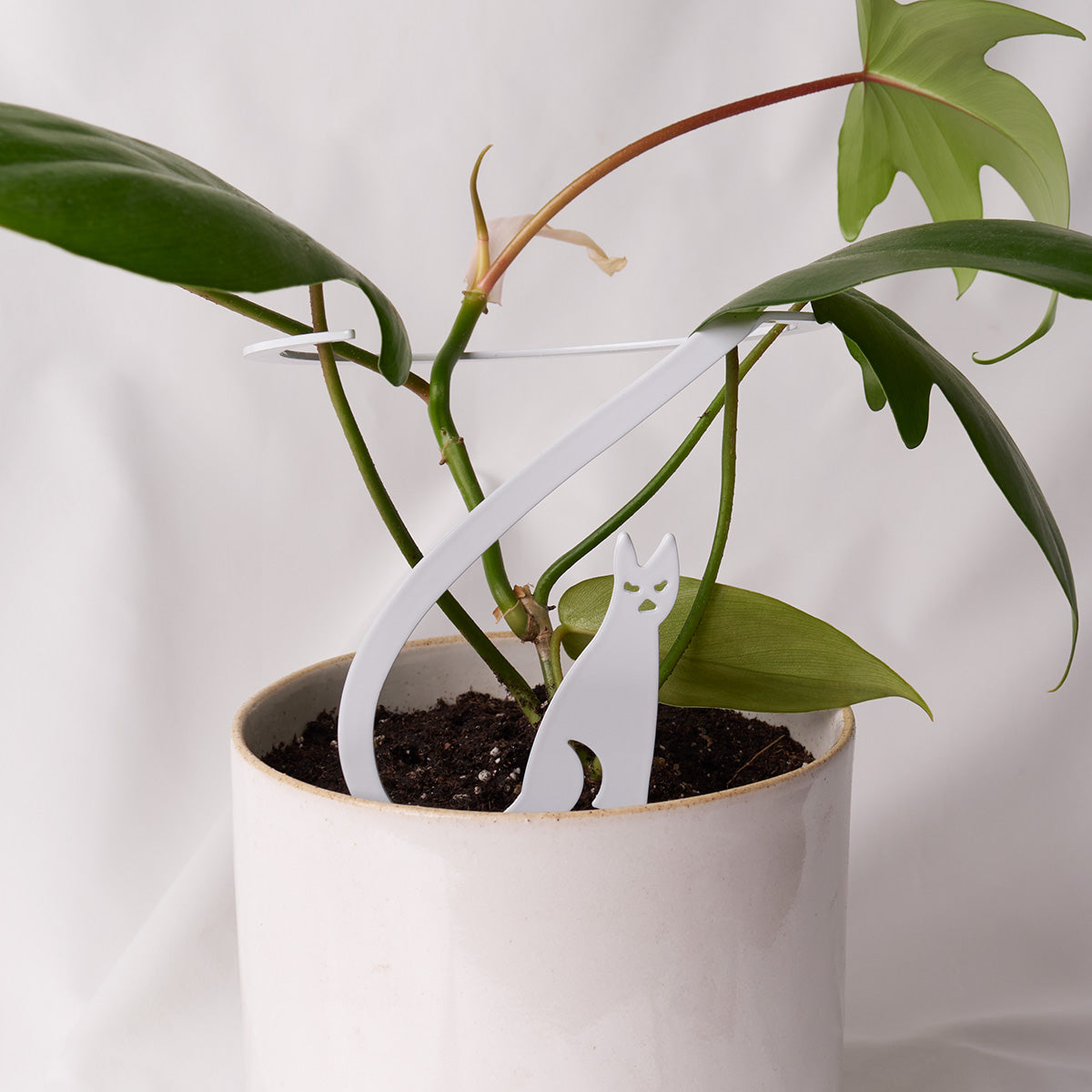 plant support indoor Artemis Plant Support Stake