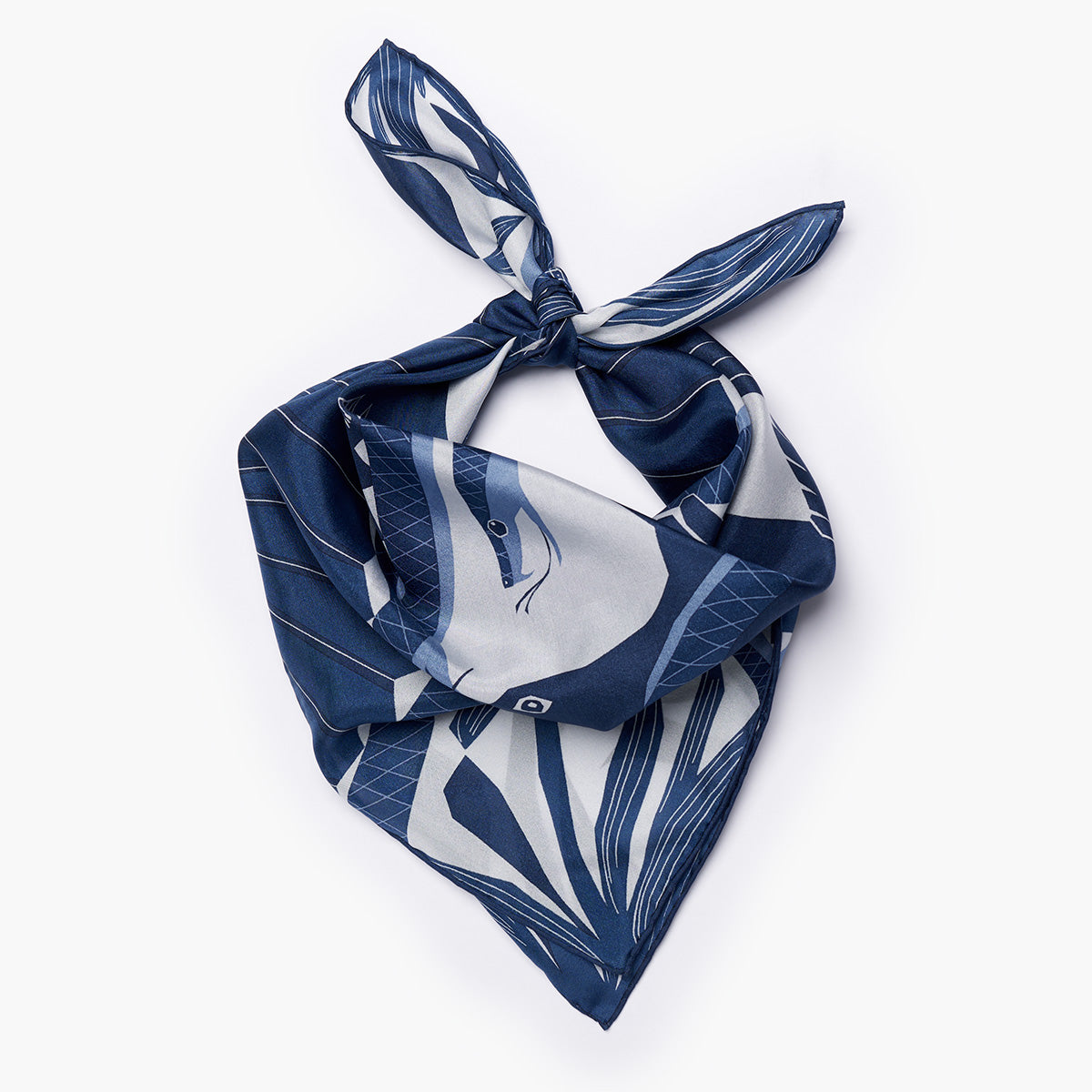 Protect Me Silk Scarf