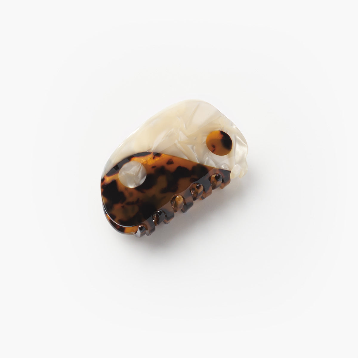 Small Yin-Yang Claw Tortoise